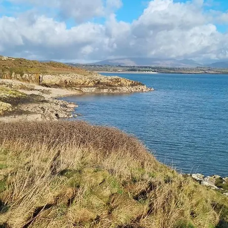 42 Pine Lodge & Sea Views Llanarmon Exterior photo