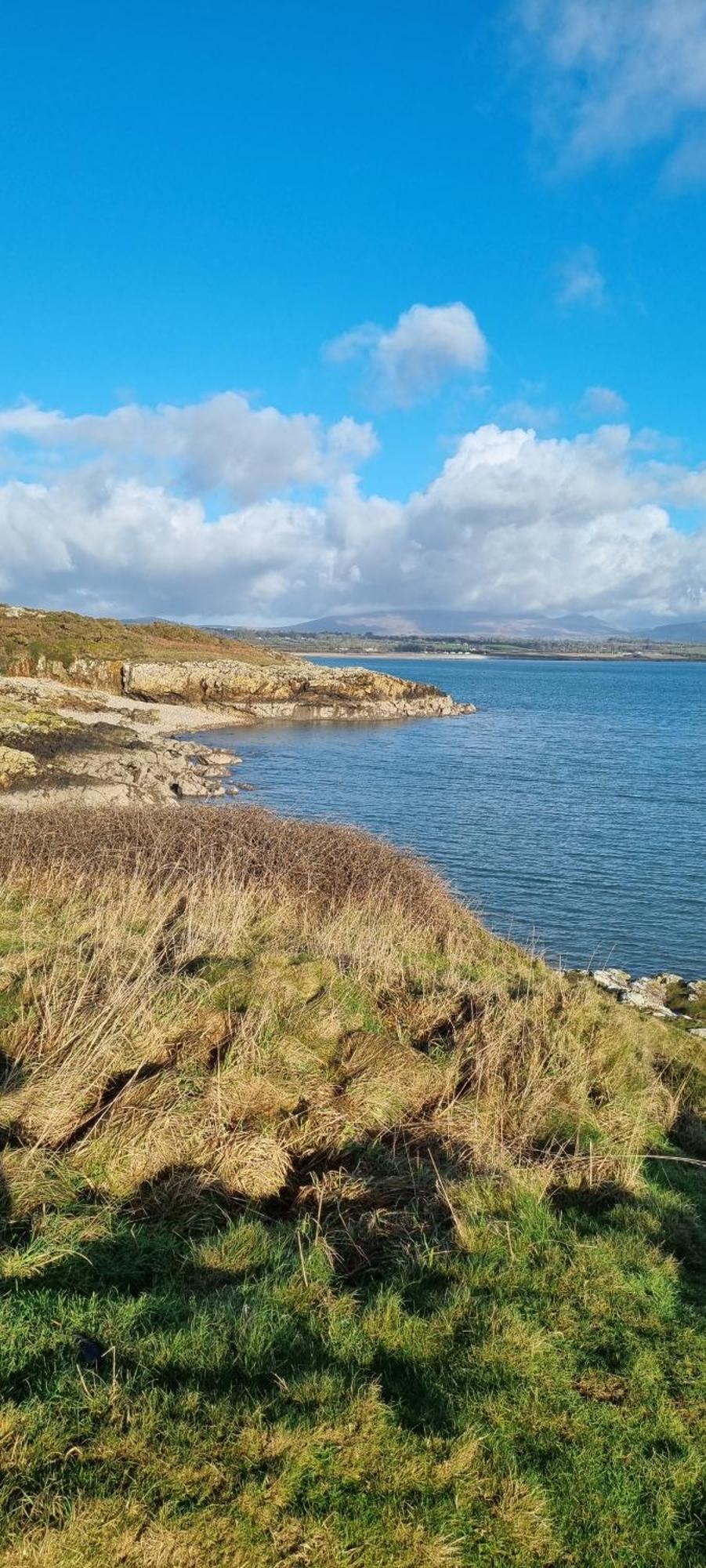 42 Pine & Sea Views * Llanarmon